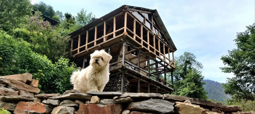 The Woods Cottage - "Treat to your soul"