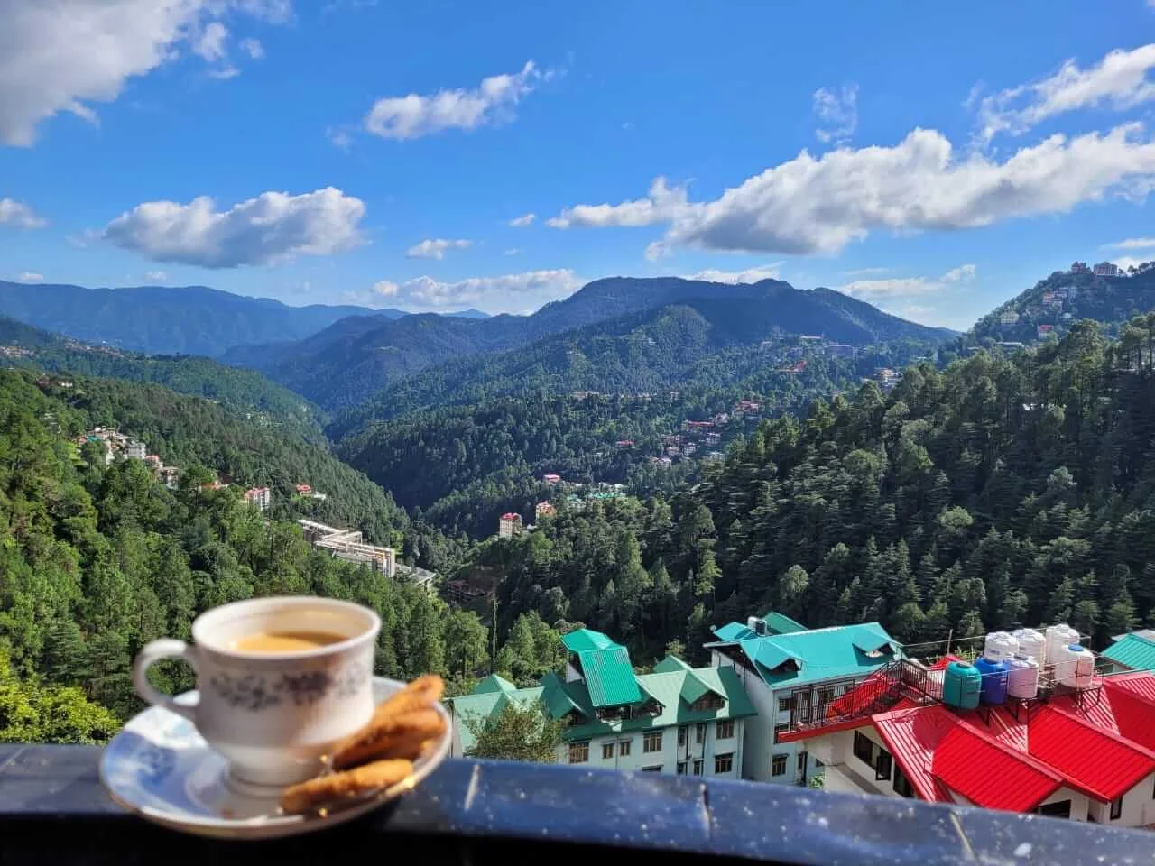 Pine Paradise - Mountain View Room