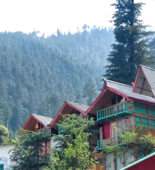 Tree Hub jibhi Cottage